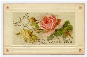 Image description is not available for PHO-264-780